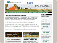 Tablet Screenshot of diversifiedservices.com
